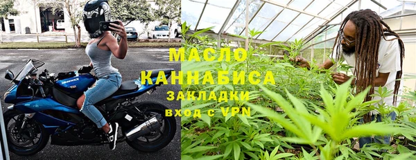 дживик Верхний Тагил