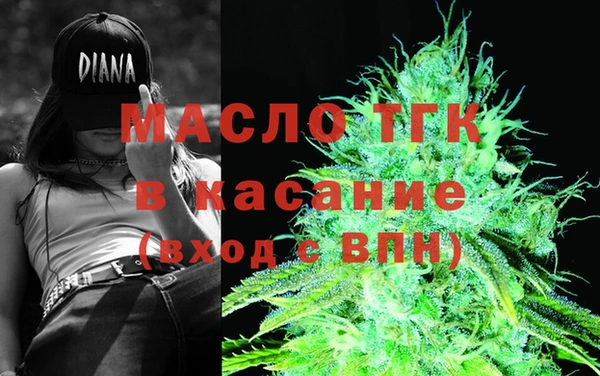 дживик Верхний Тагил
